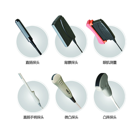 國產(chǎn)獸用B超機批發(fā)