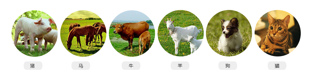 大為獸用推車式b超機(jī)適應(yīng)對(duì)象